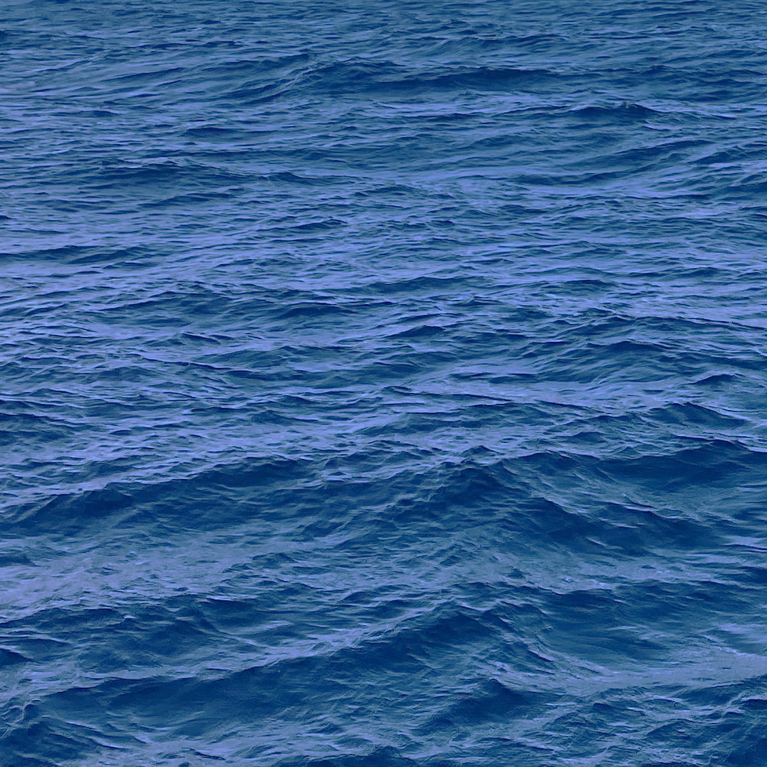 Nagranie wideo OCEAN CAPITAL